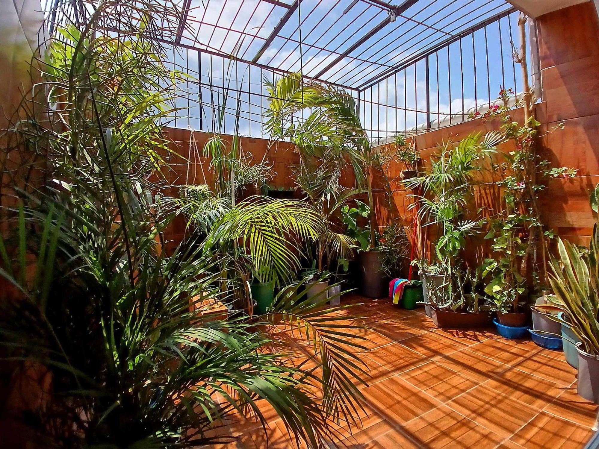 Casa Del Chef Lupita Βίλα Καμπέτσε Εξωτερικό φωτογραφία